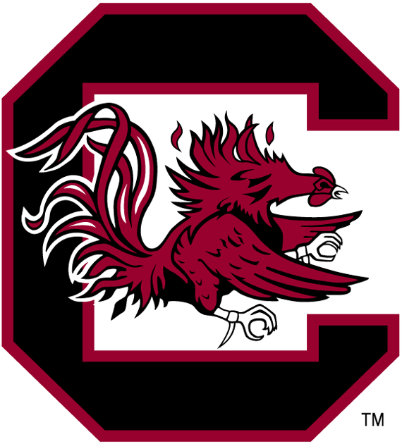 South Carolina Gamecocks 1983-Pres Primary Logo diy iron on heat transfer